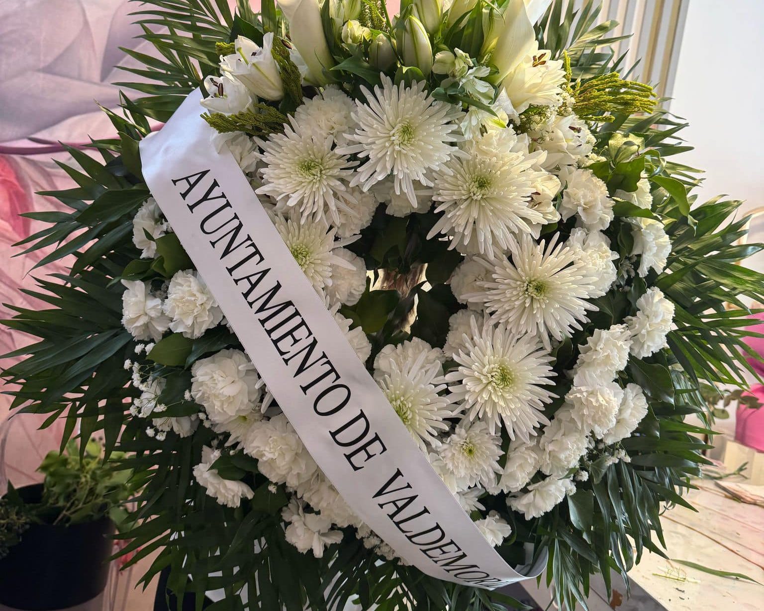 488661482_122117291870778871_742539155416934696_n