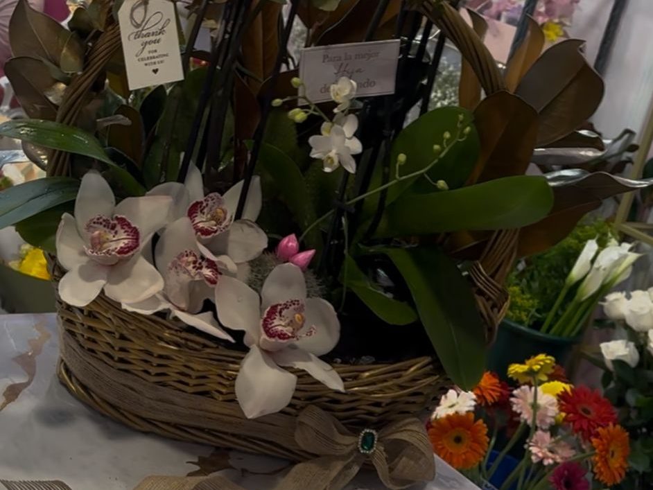 CF-Image 2025-04-06 at 17.59.34